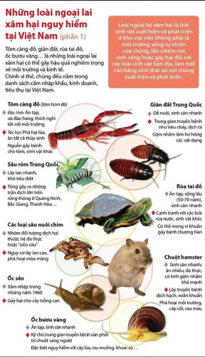 Xử lý nghiêm hành vi vi phạm trong nhập khẩu, phát tán trái phép loài ngoại lai xâm hại